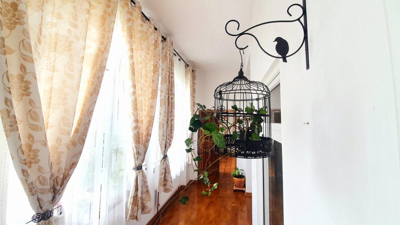Writer S Street Residence Arad Luaran gambar